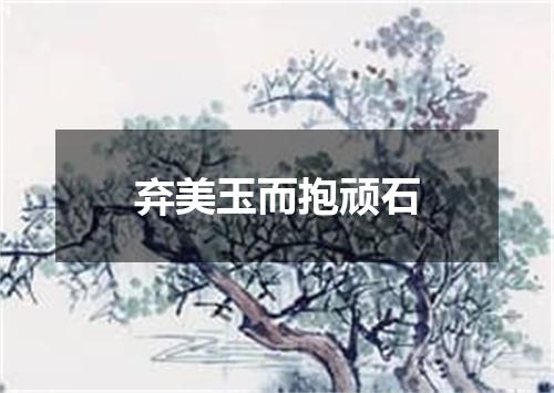 弃美玉而抱顽石