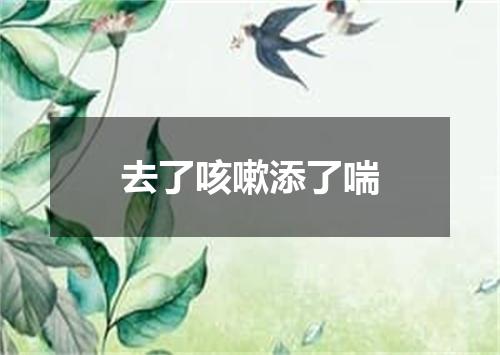去了咳嗽添了喘