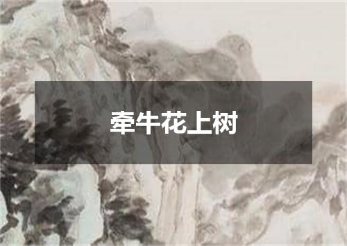 牵牛花上树