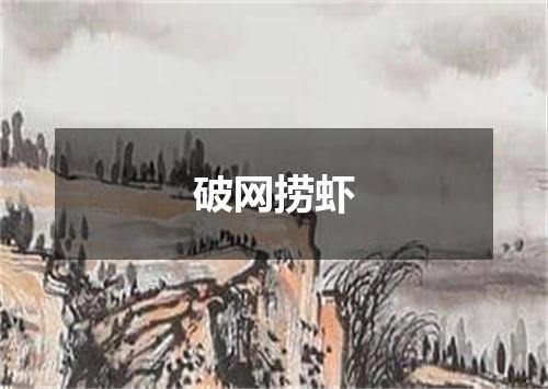 破网捞虾