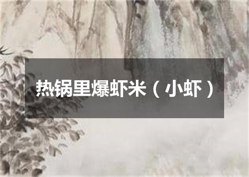 热锅里爆虾米（小虾）
