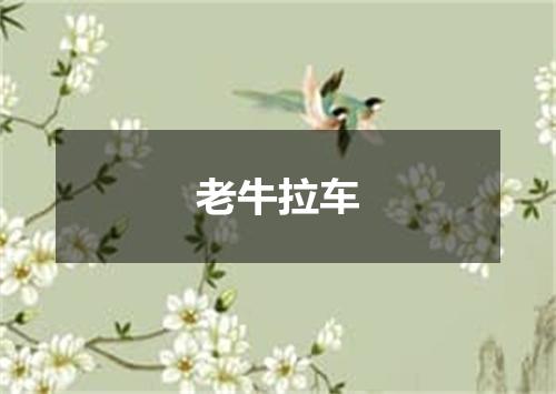 老牛拉车