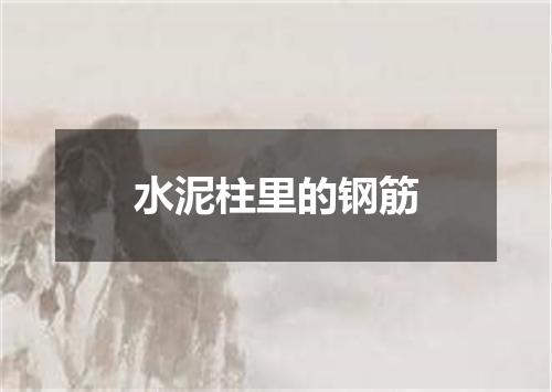 水泥柱里的钢筋