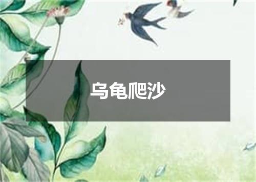 乌龟爬沙