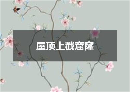 屋顶上戳窟窿