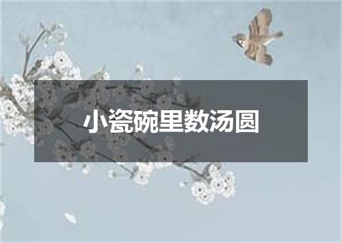 小瓷碗里数汤圆