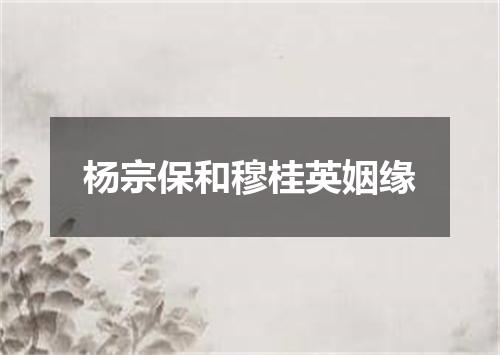 杨宗保和穆桂英姻缘