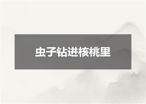 虫子钻进核桃里
