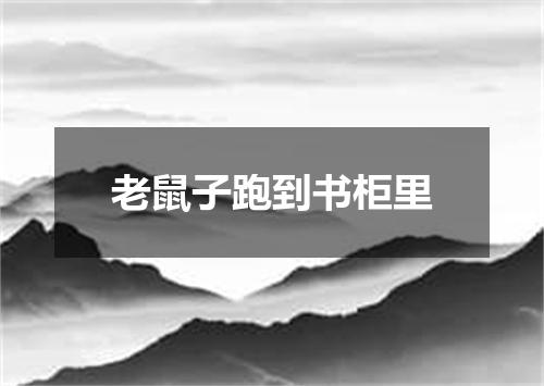 老鼠子跑到书柜里