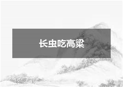 长虫吃高粱