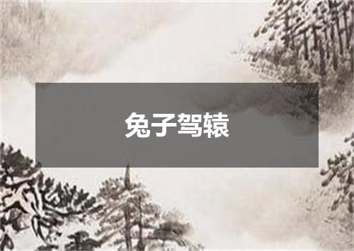 兔子驾辕