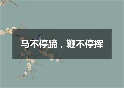 马不停蹄，鞭不停挥