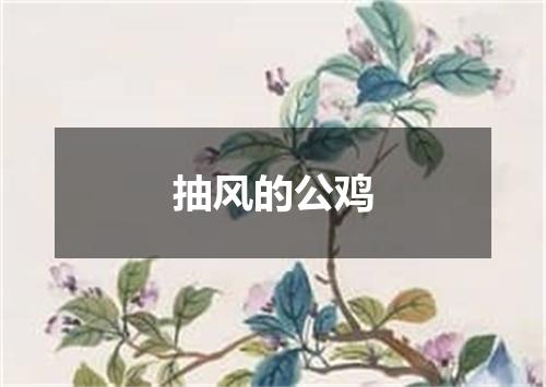 抽风的公鸡