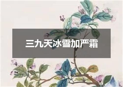 三九天冰雪加严霜