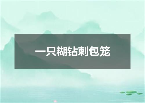 一只糊钻刺包笼