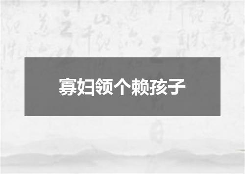 寡妇领个赖孩子