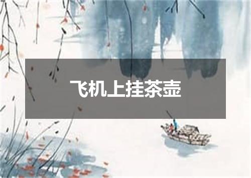 飞机上挂茶壶
