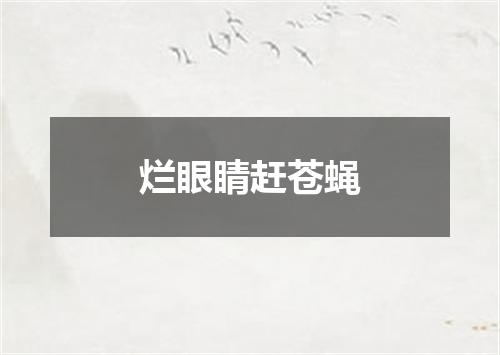 烂眼睛赶苍蝇