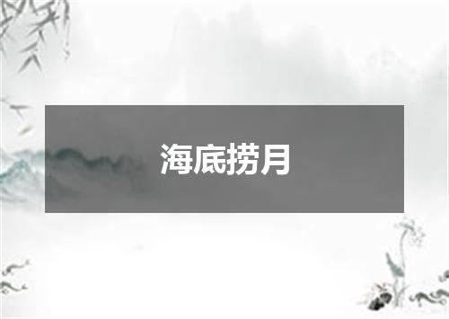 海底捞月