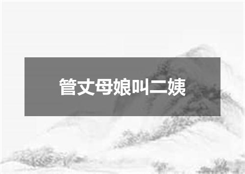 管丈母娘叫二姨