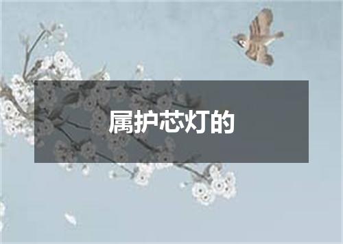 属护芯灯的