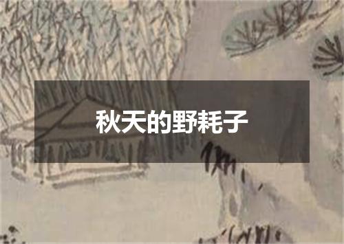 秋天的野耗子