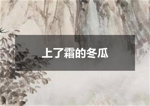 上了霜的冬瓜