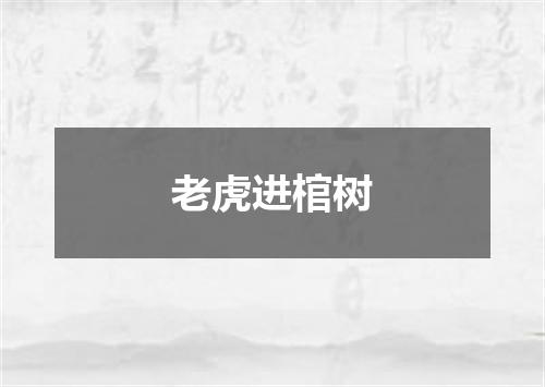 老虎进棺树