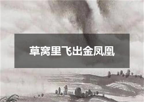 草窝里飞出金凤凰