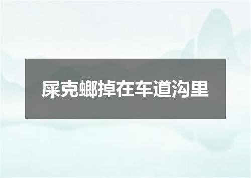 屎克螂掉在车道沟里