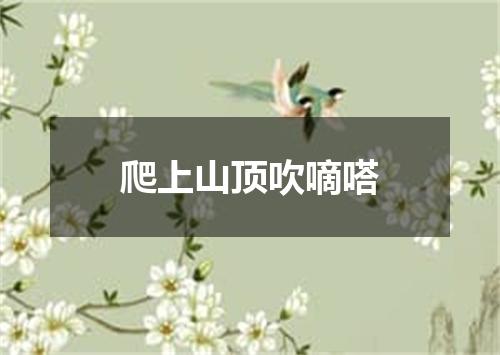 爬上山顶吹嘀嗒