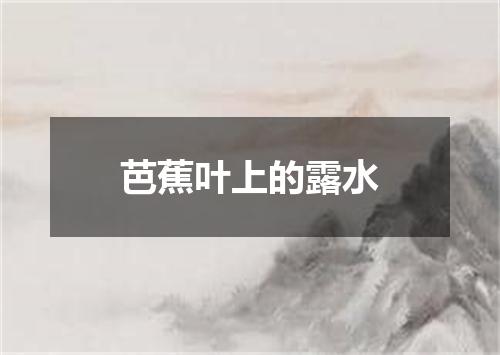芭蕉叶上的露水
