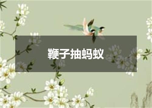 鞭子抽蚂蚁