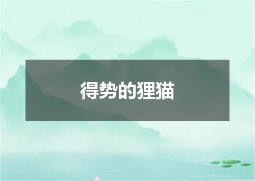 得势的狸猫