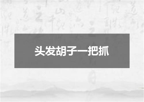 头发胡子一把抓