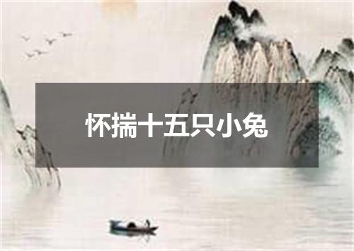怀揣十五只小兔