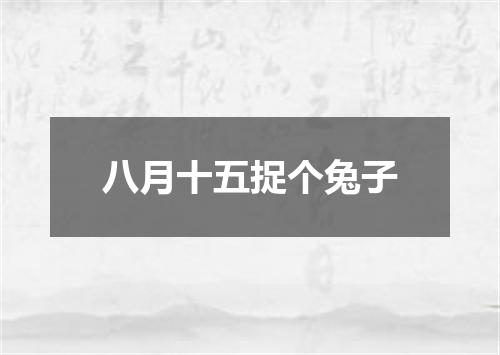 八月十五捉个兔子