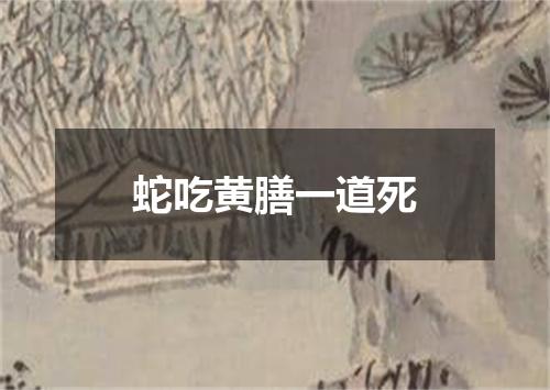 蛇吃黄膳一道死