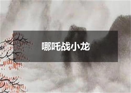 哪吒战小龙