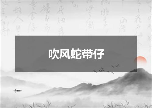 吹风蛇带仔