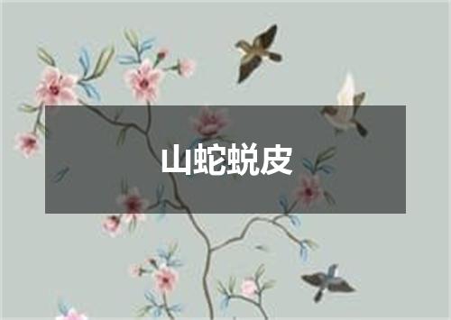 山蛇蜕皮