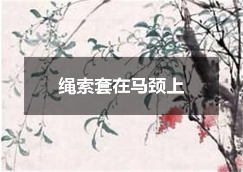 绳索套在马颈上