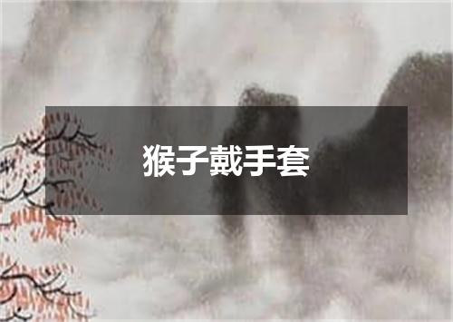 猴子戴手套