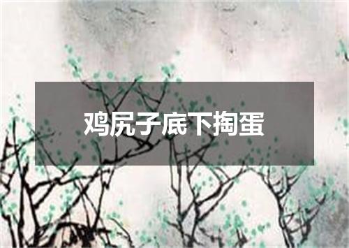 鸡尻子底下掏蛋