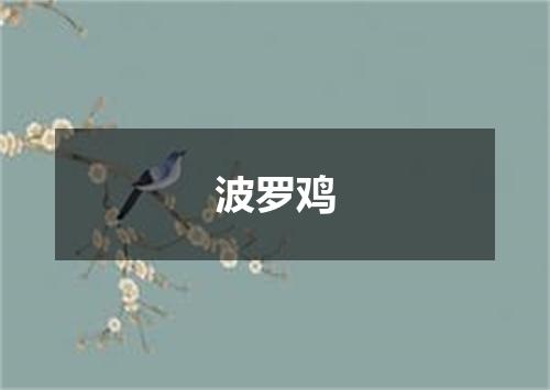 波罗鸡