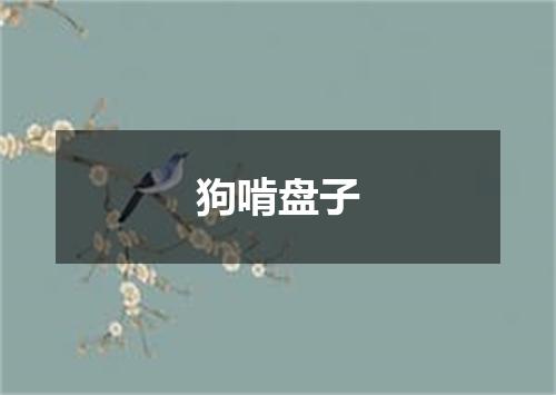 狗啃盘子