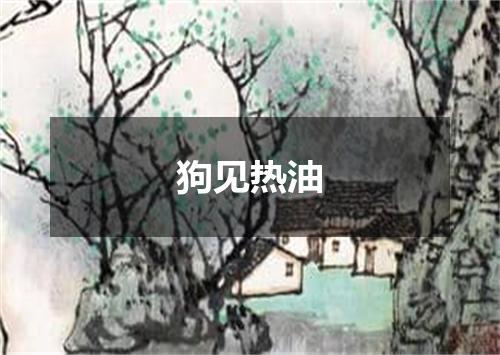 狗见热油