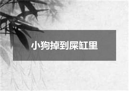 小狗掉到屎缸里