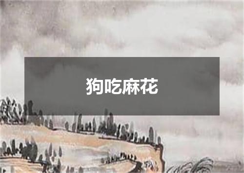 狗吃麻花