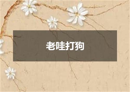 老哇打狗